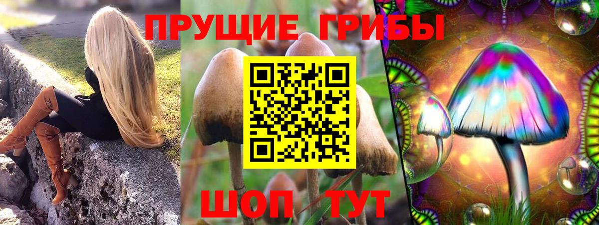 Псилоцибиновые грибы мухоморы  Псилоцибиновые грибы ЛСД  Вышний Волочёк  Вход с VPN 